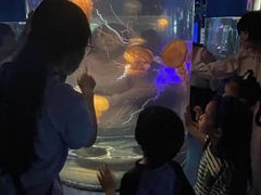 -重庆欢乐海底世界