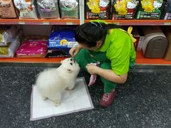 -瑞鹏宠物医院华南总院·夜诊·心脏科·骨科