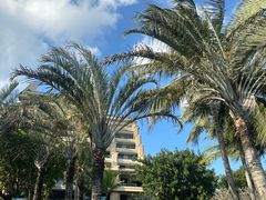 -海南清水湾莱佛士酒店