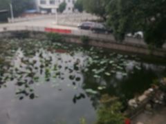 -烟桥私房菜馆(奋哥)