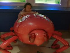 -上海昆虫博物馆