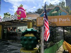 -榴莲BB 四季果园