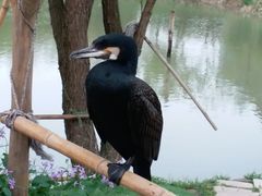 -长兴太湖图影湿地文化园
