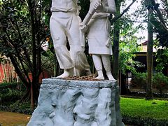 -瑞丽独树成林风景区