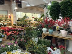-双季花艺园艺市场(浦东店)