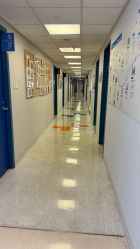 -杭州贝瑞斯美华妇儿医院·早孕·产检·儿科