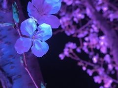 -西北湖绿化广场