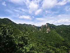 -大岭沟猕猴桃谷风景区