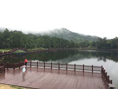 -海南热带雨林国家公园吊罗山景区