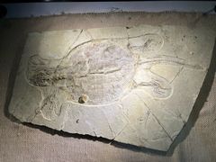 -房山世界地质公园博物馆