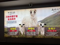 -南门四季铜锅涮肉(左家庄店)