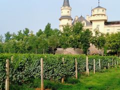 -北京张裕爱斐堡酒庄