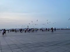 -东港音乐喷泉广场