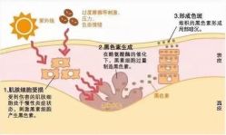 -美肤盾祛痘·问题肌头疗管理中心