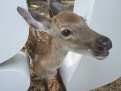 -南戴河国际娱乐中心