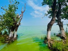 -捞渔河湿地公园