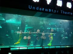 -泉城欧乐堡海洋极地世界