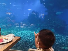 -海棠湾洲际-涛·海底餐厅·美人鱼·自助餐·海底隧道