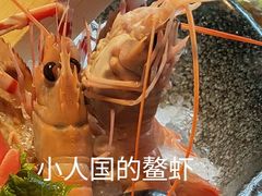 -旨料亭日本料理(四川北路店)