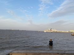 -上海吴淞炮台湾国家湿地公园