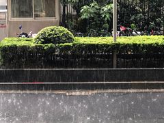 -上海牛羊肉公司塘沽路清真门市部