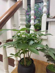 -禾壹净·素颜美问题肌肤修护中心