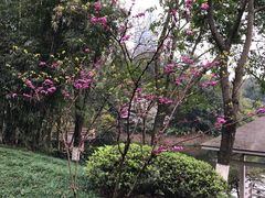 -百林公园-两江幸福广场