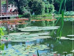 -国家植物园南园