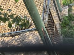 -青藏高原野生动物园