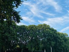-河南省黄河迎宾馆