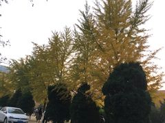 -辽宁大学(崇山校区)
