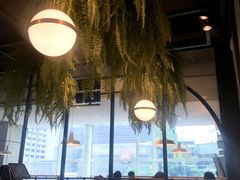 -KUB KAO' KUB PLA(Central World Plaza)