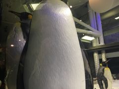 -悉尼海洋生物水族馆