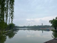 -祥源·阜阳生态乐园