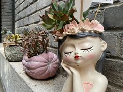 -庐灶江南·江南菜·四合院Bistro(东直门·华侨夜泊君亭店)