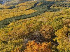 -帽儿山国家森林公园