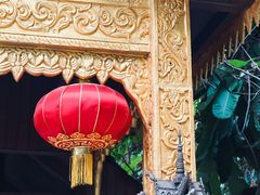 -西双版纳原始森林公园