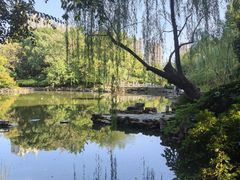 -红梅公园