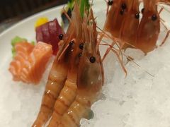 -月龍吟(朝龙汇店)