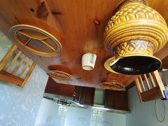 -金山农民画村-枫泾波兰倒置屋