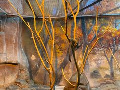 -泉城欧乐堡海洋极地世界