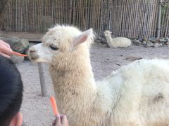 -泉州海丝野生动物世界