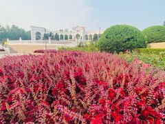 -朝阳公园