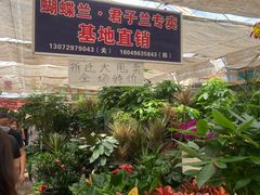 -秦美花卉(天朗·莱茵小城2期店)