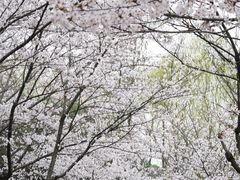 -江南大学(蠡湖校区)