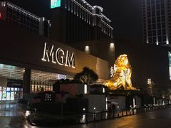-视博茶点(美狮美高梅店)