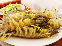濑尿虾-凯华海鲜火锅·传承三十六年