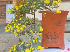 -惠山古镇·寄畅园