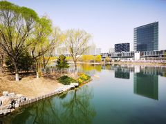 -大兴滨河森林公园