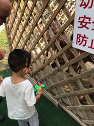 -萌宠亲子动物乐园(槐房万达店)